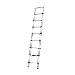Thule Ladder Van trap< Ladders