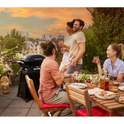 Weber Q 2800N+ gasbarbecue black inclusief onderstel< Gas Bbq & Buitenkeukens