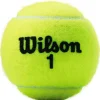 Tennisballen-Wilson Championship tennisballen