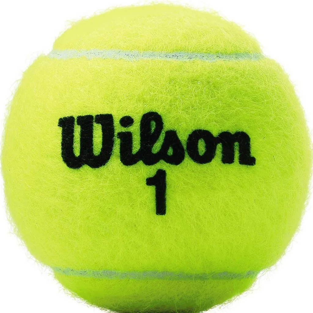 Tennisballen-Wilson Championship tennisballen