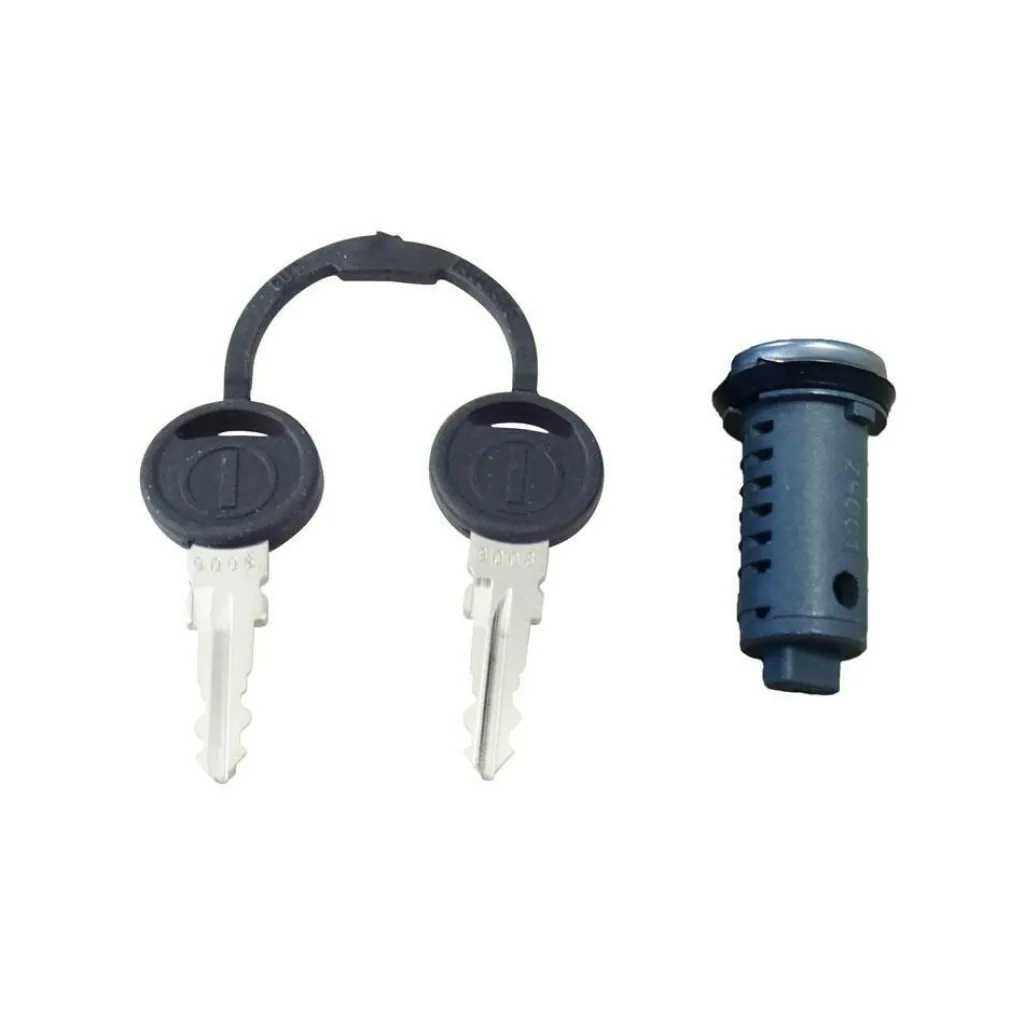 Zadi Cilinder met 2 sleutels< Beveiliging